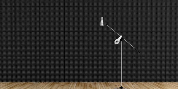 Professional microphone in recording studio